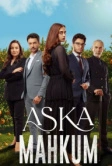 Заключенный любви (2025)